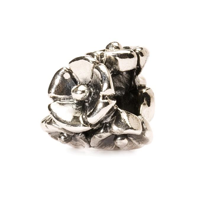 INSERTO DONNA TROLLBEADS 11262 NON TI SCORDAR DI ME - TROLLBEADS